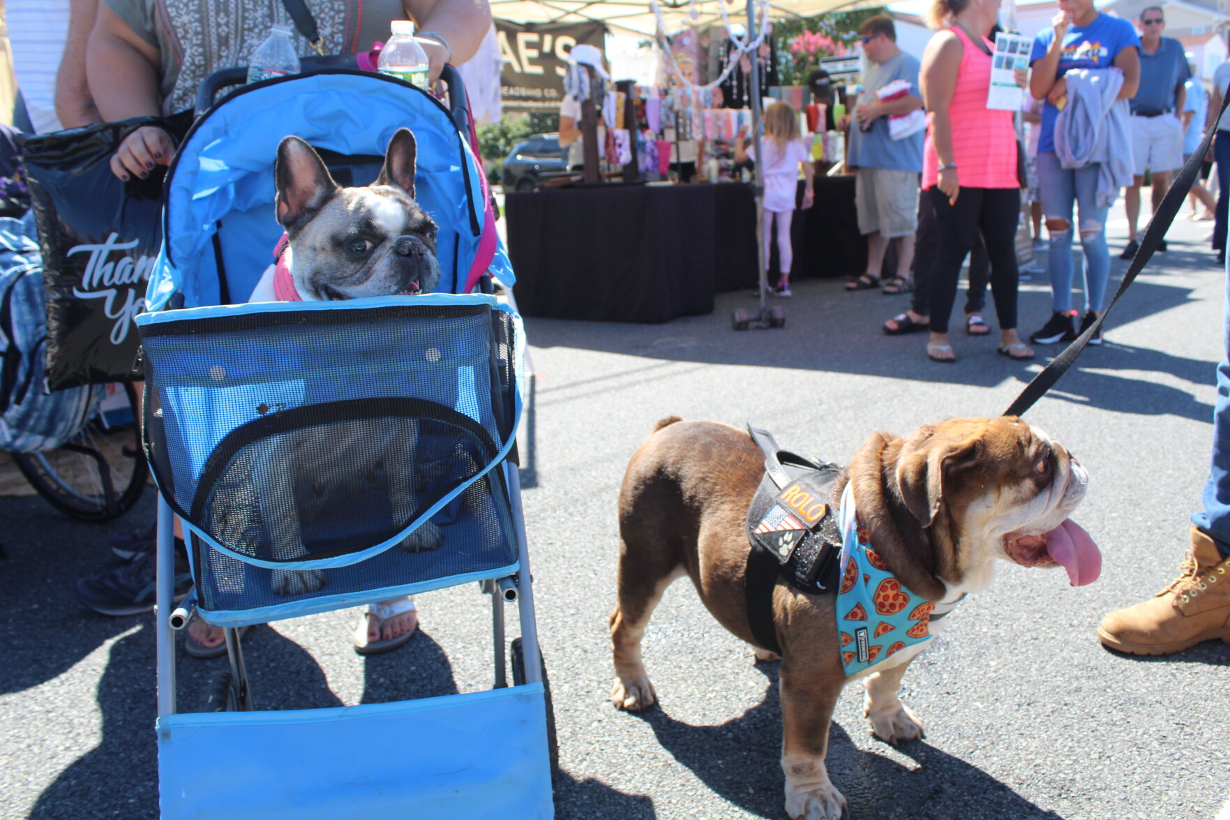 Margate Fall Funfest By The Bay_6006.JPG